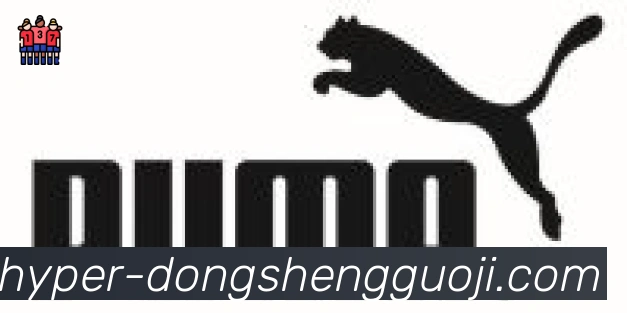 东升国际棋牌合作伙伴